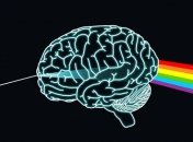 Ученые научились "силой мысли" управлять компьютером