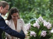 В честь принца Уильяма и его супруги Кэтрин названа орхидея