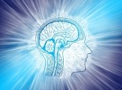 Цифровая эпоха: может ли интернет повлиять на работу человеческого мозга?