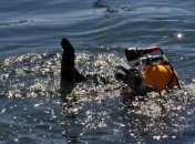 Водолазы разминируют водоемы Донецкой области