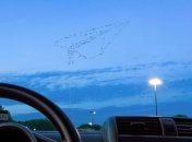 Он додумался первым (Фотогалерея)    