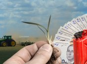 Посевная в разгаре. Фото Коллаж "Телеграфа"