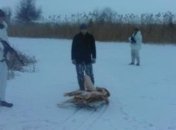 Двое мужчин пытались незаконно перевезти мясо в РФ на санках