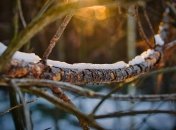 Погода в январе не будет особо стабильной