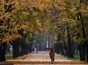 Погода в Украине 31 октября: местами дожди