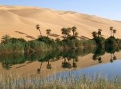 Не райский сад, но все же: изменение климата может озеленить крупнейшую пустыню мира