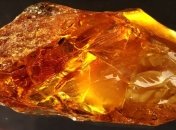 Польские таможенники изъяли 100 килограмм янтаря из Украины