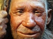 Ученые собираются вырастить мозг неандертальца