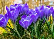 Прогноз погоды в Украине на апрель