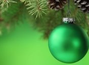 Живые новогодние елки менее вредны для экологии, чем искусственные  