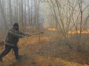 Пожар в Чернобыльской зоне: что с радиационным фоном в Киеве 