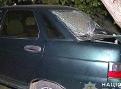 На Винничине пьяная женщина сбила четырех маленьких детей