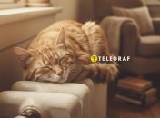 Перед опалювальним сезоном батареї потрібно перевірити та очистити