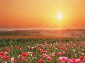 19 мая. Приметы дня