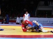 Итоги чемпионата мира по самбо. Сборная Украины завоевала 10 медалей