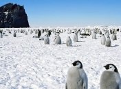 Ученые заявили, что под льдами Антарктиды могут находиться метеориты