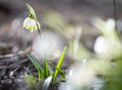 Що можна і не можна робити 5 березня