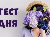 Экстраверт или интроверт: тест на тип личности