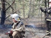 Пожары в Чернобыльской зоне: спасатели продолжают бороться с огнем