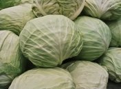 Від комах не залишиться жодного сліду