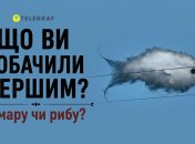 Что вы видите?