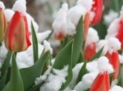 Прогноз погоды на 28 марта: в Украине похолодает 