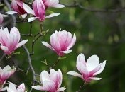 В Украину возвращается тепло: прогноз погоды до конца недели 