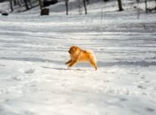 Сегодня - последний январский день 2025