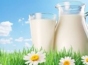 Производство молока за 8 месяцев снизилось на 2%