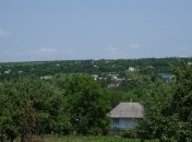 На Буковине поймали неизвестного зверя