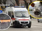 Колаж "Телеграфу"