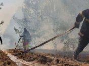 В Чернобыльской зоне ни один критический объект от пожаров не пострадал