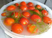 Квашеные помидоры