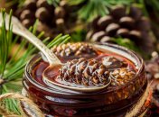 Варення з ялинових шишок — корисна насолода