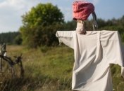 Программа развития села до 2015 года утверждена 