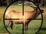 Разработана новая система на основе искусственного интеллекта для поиска браконьеров 