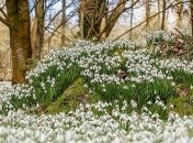 Ночные морозы и туман: в Украину идет потепление