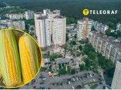 Виноградар