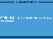 Заряд позитива: смешные анекдоты на утро