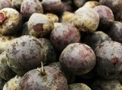 Вырастить вкусную свеклу не так уж и сложно