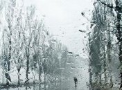 Погода в Украине на 23 декабря: в некоторых регионах - дожди