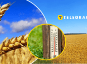 Погода в Україні