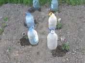 Краплинний полив — порятунок для дачників та рослин