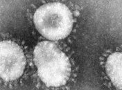 СЭС: В этом году появится новый для украинцев вирус гриппа