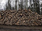 ЕС обвиняет Польшу в уничтожении объекта ЮНЕСКО