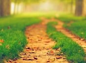 Прогноз погоды в Украине на 29 сентября: солнечно во всех областях