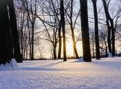 3 февраля - приметы и обряды в день Максима