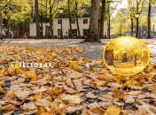 Погода у листопаді