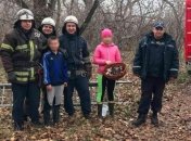 Мальчик-грибник не смог с добычей спуститься с дерева (Видео)