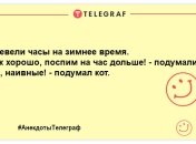 Собака любить просто так, а кіт — через корм: жартівливі анекдоти про кішок